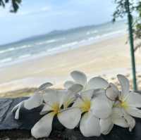 Sunny Beach House Pattaya