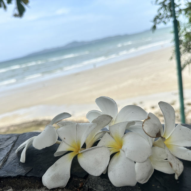 Sunny Beach House Pattaya