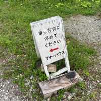 まるで海外？！