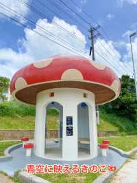  【沖縄】名護 国道58号線沿いに現れる👀キノコ型バス停🍄可愛い待合所