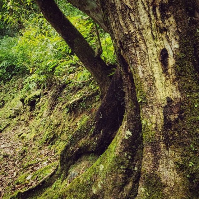 假日悠閒爬山