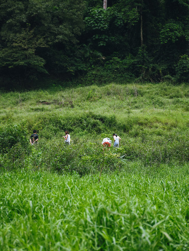 ฮีลใจไปกับธรรมชาติที่เขาช่องลม 🍃