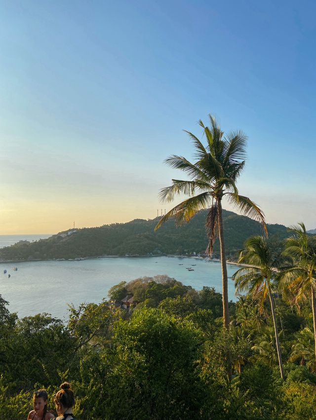 John-Suwan Viewpoint☀️🧡
