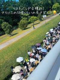 Summer Sonic 2024 TOKYO 私的、攻略法と反省点！来年の参考に🤗😂