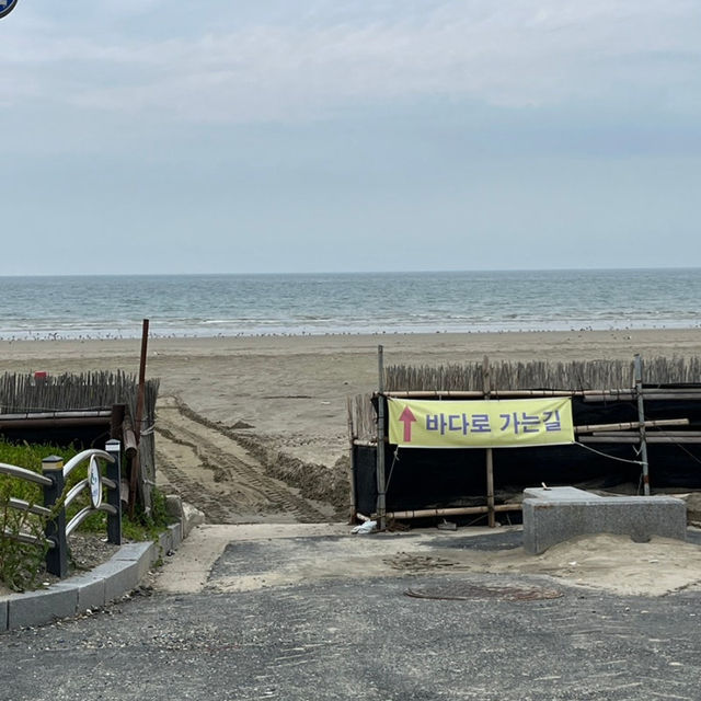 춘장대 해수욕장 해루질