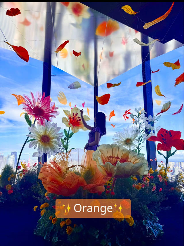 〜東京都〜室内でお花見空中散歩！Flower view🌸