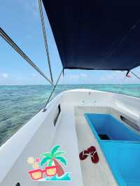 🏝️🇲🇺 Ile Aux Cerf tour on a crystal glass bottom boat