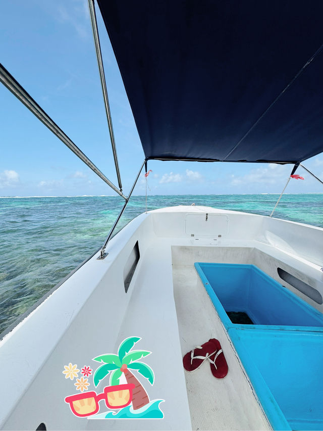 🏝️🇲🇺 Ile Aux Cerf tour on a crystal glass bottom boat