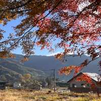 Kawaguchiko sight seeing