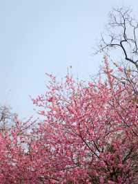 Yu Yuan Tan Park Beijing
