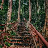 🇲🇾 Adventure Awaits: Conquer Kanching Waterfall Top