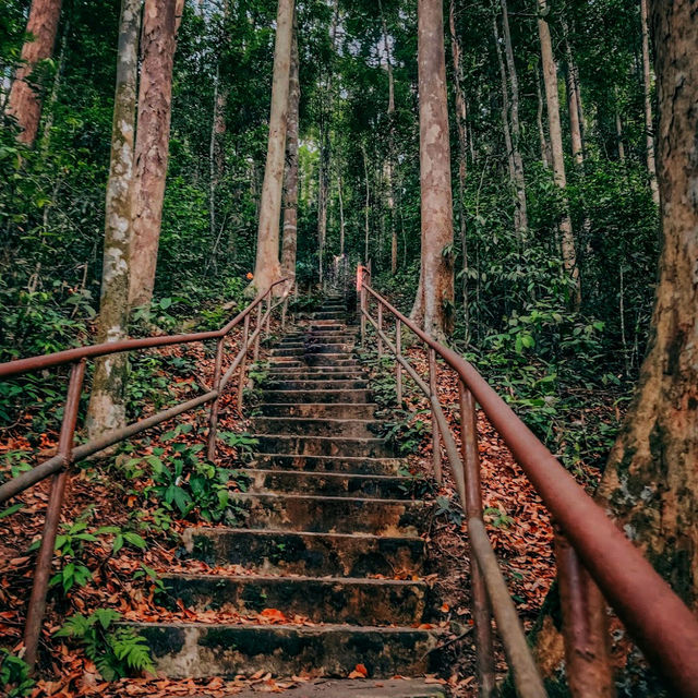 🇲🇾 Adventure Awaits: Conquer Kanching Waterfall Top