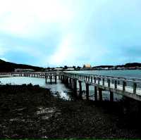 เล่นน้ำที่หาดลูกลม เกาะแสมสาร 