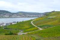 德國Rüdesheimer Berg Roseneck葡萄園給愛葡萄酒的人