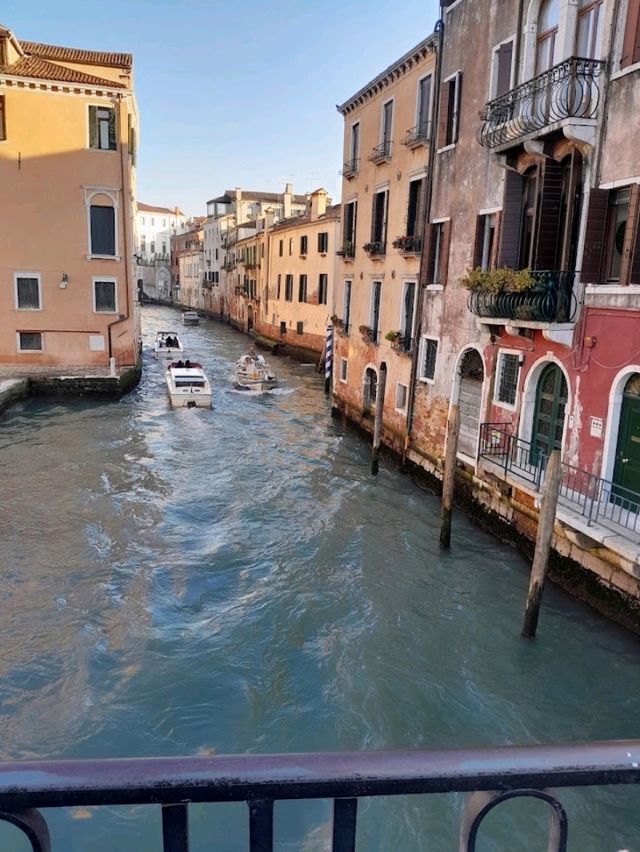 Best Bakery in Venice