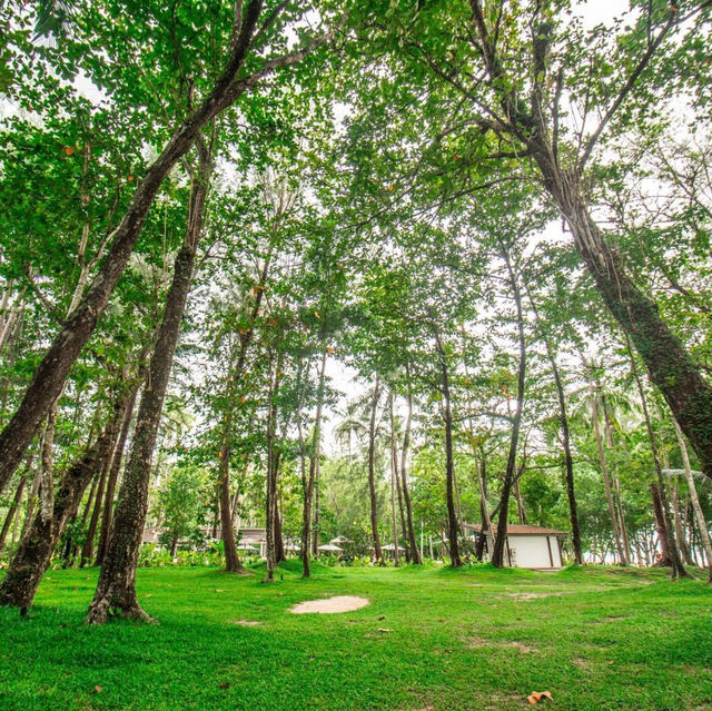 Avani+ Khao Lak Resort