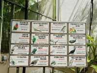 Langkawi Wildlife Park