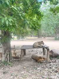 泰國北碧府野生動物園