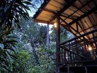 📍Our Jungle House จ.สุราฎร์ธานี