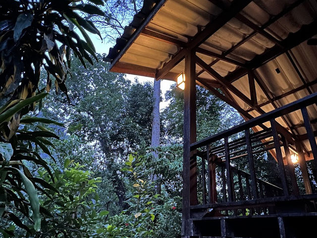 📍Our Jungle House จ.สุราฎร์ธานี