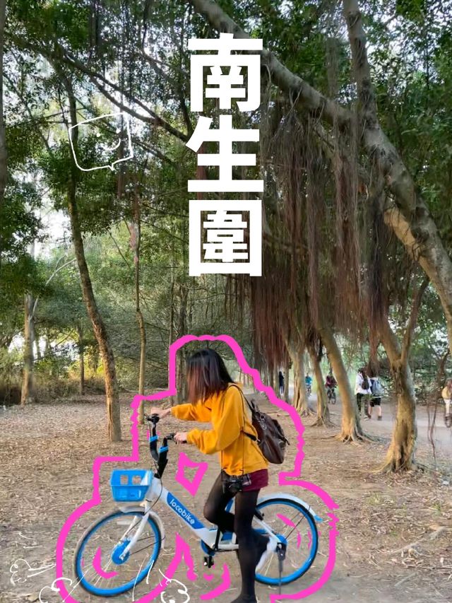  【單車遊】元朗至南生圍單車輕鬆騎