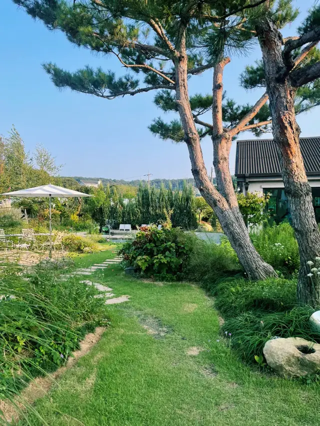 Family Trip to Ganghwa Island