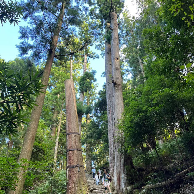 綾廣之滝🌱平靜時光