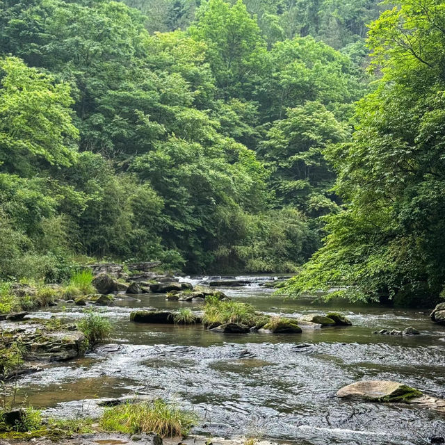 大山溪谷：自然天堂，親近自然