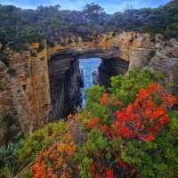 Rugged Wilderness