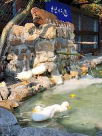 親親動物零距離