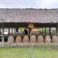 Bali Aga Village Tour, Indonesia