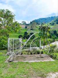 Nature and Family Fun at Bentong Farm