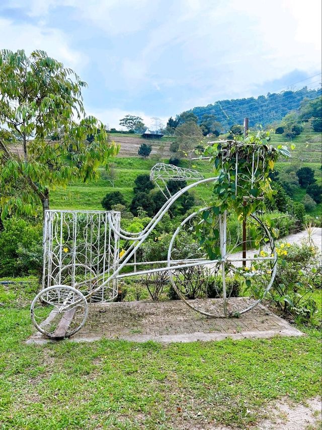Nature and Family Fun at Bentong Farm
