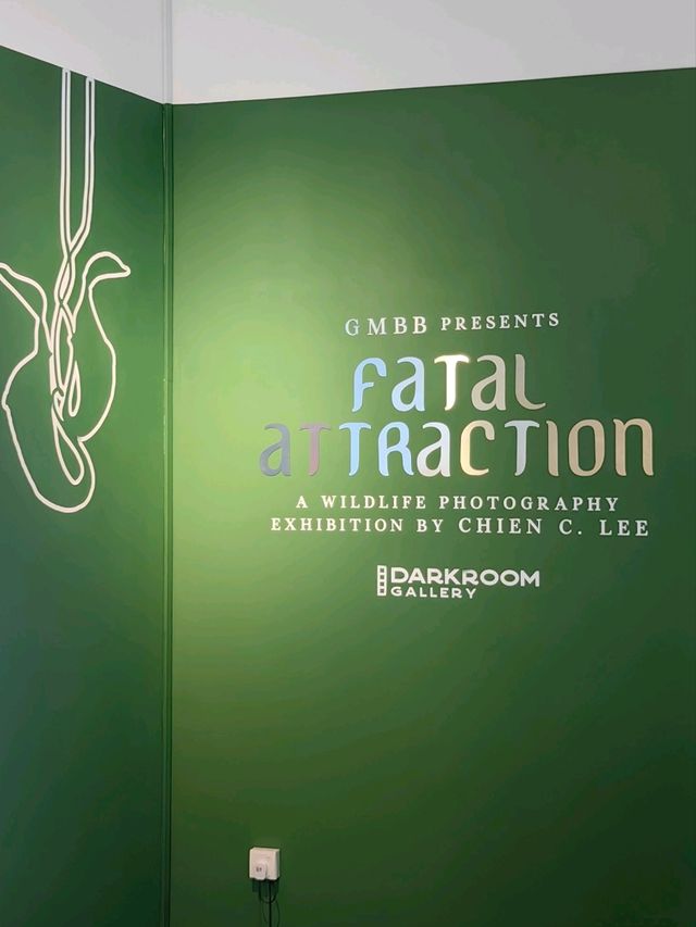 FATAL ATTRACTION Exhibition in GMBB