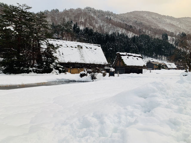 【白川郷】世界遺産巡り！