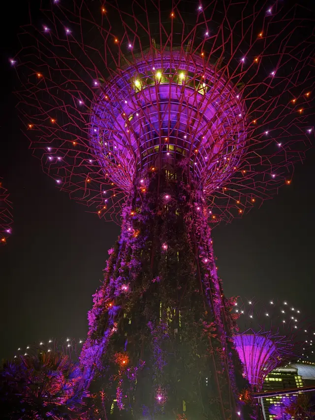 🇸🇬Don’t miss out this breathtaking light show in this Sept!