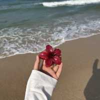 Desaru Beach Johor