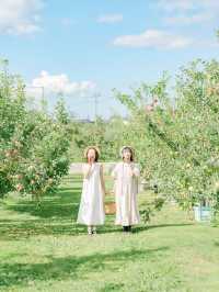 【青森】弘前市でりんご尽くしの旅🍎