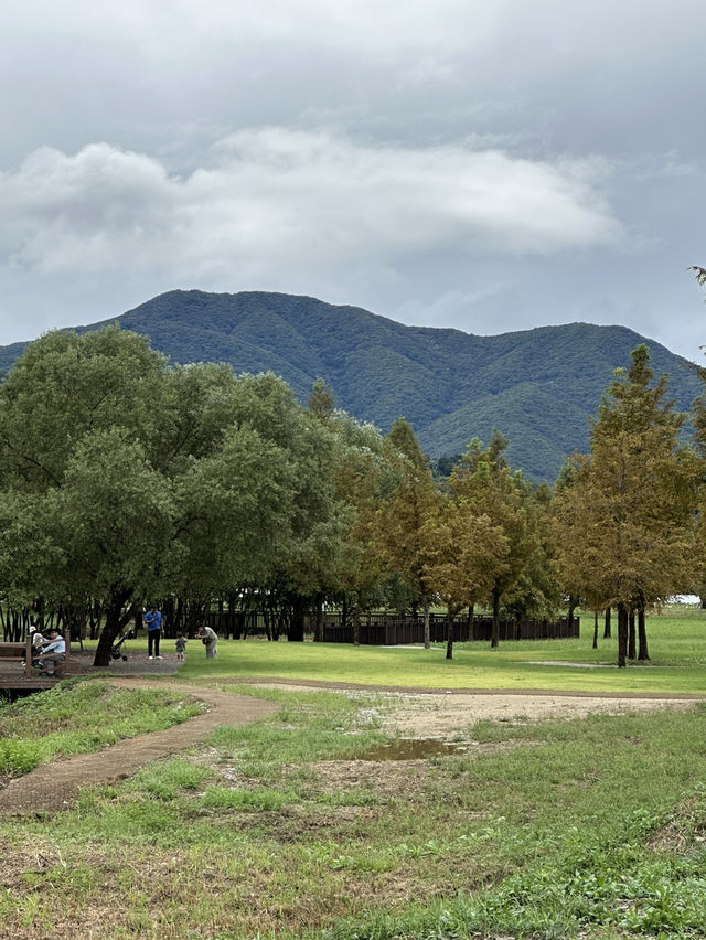 푸른 여름의 풍성한 자연을 느껴보실 수 있는 💚 경기도 양평 근교 여행 추천 🌳