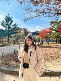 ใบไม้เปลี่ยนสีที่ Gyeongbokgung Palace 