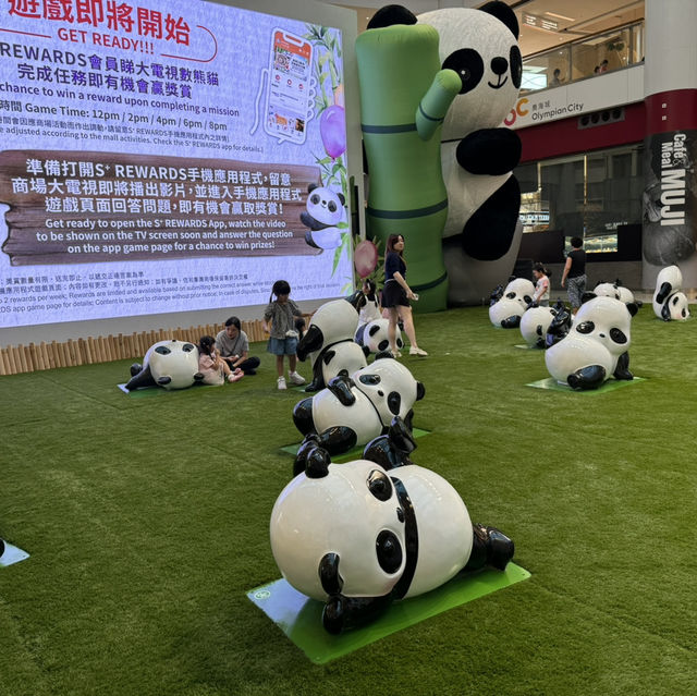75隻熊貓喜迎國慶🐼