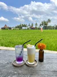 Cafe surrounded Ubud rice fields🌾
