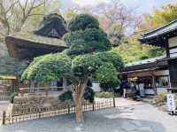 竹寺　鎌倉報国寺