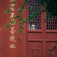 靈光寺：靜謐之境⛩️✨