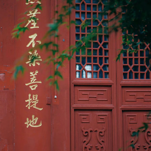 靈光寺：靜謐之境⛩️✨