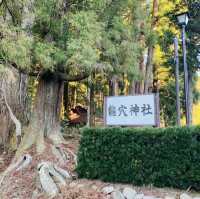 室生龍穴神社