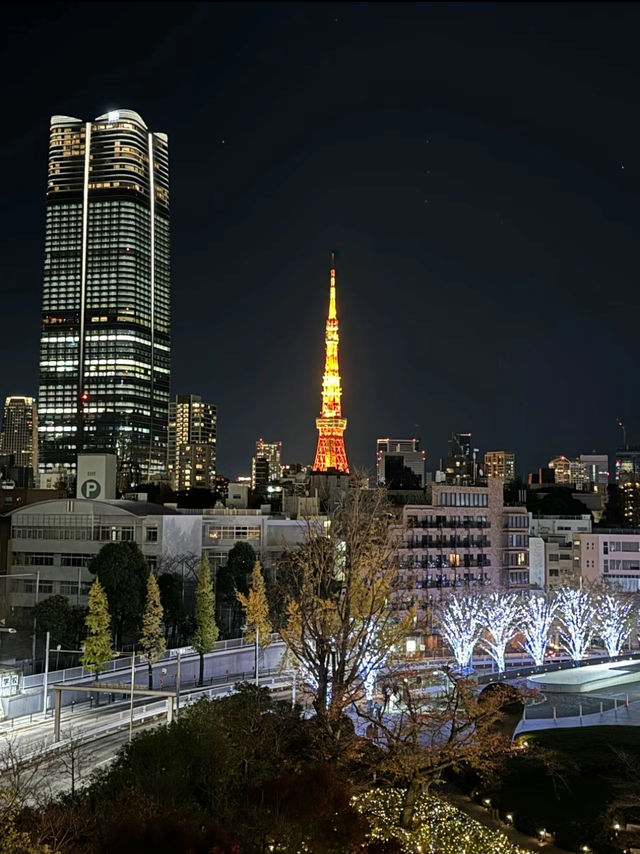 〜東京都〜MAP付！カップルで東京クリスマス旅行攻略！✨