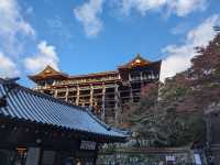 <京都 清水寺> 🇯🇵🍂名滿天下的賞楓勝地！ 