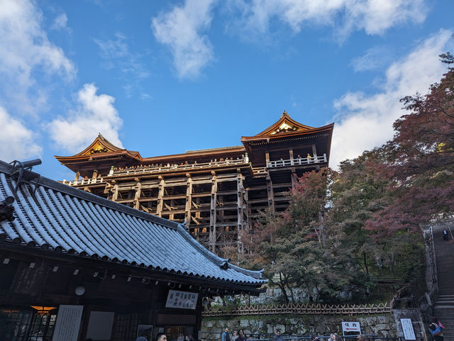 <京都 清水寺> 🇯🇵🍂名滿天下的賞楓勝地！ 