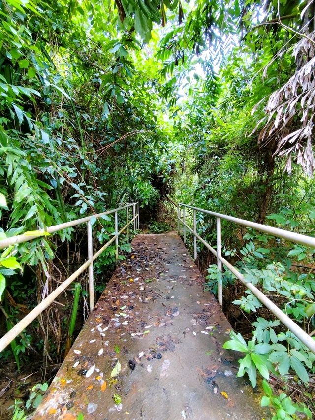 Hiking Trail from Penang Botanic Gardens